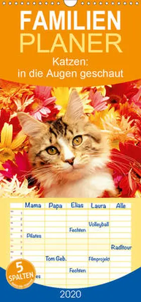 Calvendo / CALVENDO |  Katzen: in die Augen geschaut - Familienplaner hoch (Wandkalender 2020 , 21 cm x 45 cm, hoch) | Sonstiges |  Sack Fachmedien