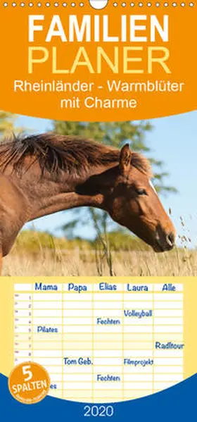 Bölts |  Rheinländer - Warmblüter mit Charme - Familienplaner hoch (Wandkalender 2020 , 21 cm x 45 cm, hoch) | Sonstiges |  Sack Fachmedien