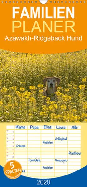 Bölts |  Azawakh-Ridgeback Hund - Familienplaner hoch (Wandkalender 2020 , 21 cm x 45 cm, hoch) | Sonstiges |  Sack Fachmedien
