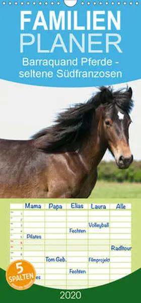 Bölts |  Barraquand Pferde - seltene Südfranzosen - Familienplaner hoch (Wandkalender 2020 , 21 cm x 45 cm, hoch) | Sonstiges |  Sack Fachmedien