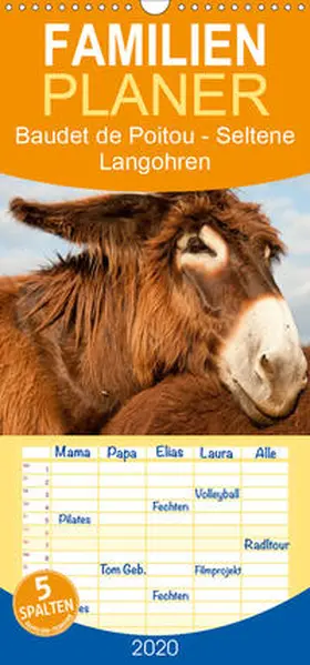Bölts |  Baudet de Poitou - Seltene Langohren - Familienplaner hoch (Wandkalender 2020 , 21 cm x 45 cm, hoch) | Sonstiges |  Sack Fachmedien