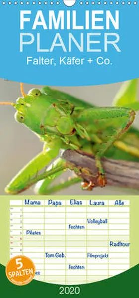 Schmidbauer | Falter, Käfer und Co.faszinierend, doch extrem gefährdet - Familienplaner hoch (Wandkalender 2020 , 21 cm x 45 cm, hoch) | Sonstiges | 978-3-671-06242-3 | www.sack.de