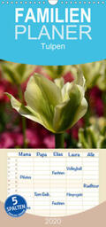 Haas |  Tulpen - Familienplaner hoch (Wandkalender 2020 , 21 cm x 45 cm, hoch) | Sonstiges |  Sack Fachmedien