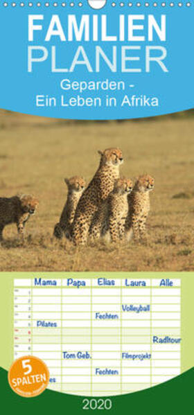 Herzog | Geparden - Ein Leben in Afrika - Familienplaner hoch (Wandkalender 2020 , 21 cm x 45 cm, hoch) | Sonstiges | 978-3-671-07076-3 | sack.de