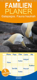 Krause |  Galapagos. Fauna hautnah - Familienplaner hoch (Wandkalender 2020 , 21 cm x 45 cm, hoch) | Sonstiges |  Sack Fachmedien