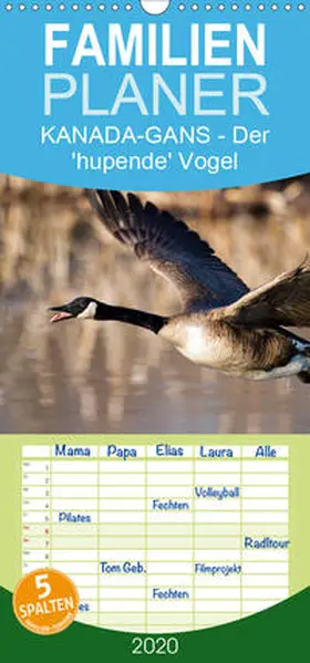Henry |  KANADA-GANS - Der 'hupende' Vogel - Familienplaner hoch (Wandkalender 2020 , 21 cm x 45 cm, hoch) | Sonstiges |  Sack Fachmedien