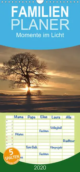 Engelhardt / Silvio |  Momente im Licht - Familienplaner hoch (Wandkalender 2020 , 21 cm x 45 cm, hoch) | Sonstiges |  Sack Fachmedien