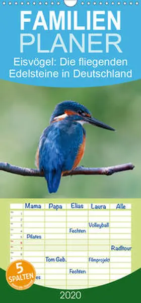 Will |  Eisvögel - Die fliegenden Edelsteine in Deutschland - Familienplaner hoch (Wandkalender 2020 , 21 cm x 45 cm, hoch) | Sonstiges |  Sack Fachmedien
