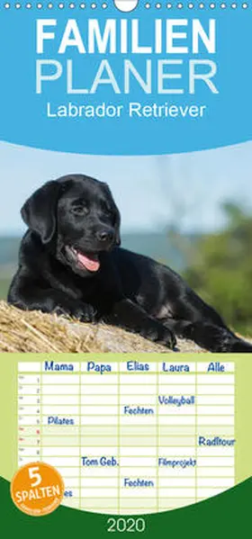Starick |  Labrador Retriever 2020 - Familienplaner hoch (Wandkalender 2020 , 21 cm x 45 cm, hoch) | Sonstiges |  Sack Fachmedien
