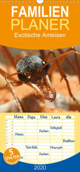 Störmer |  Exotische Ameisen - Familienplaner hoch (Wandkalender 2020 , 21 cm x 45 cm, hoch) | Sonstiges |  Sack Fachmedien