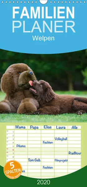 Starick |  Welpen 2020 - Familienplaner hoch (Wandkalender 2020 , 21 cm x 45 cm, hoch) | Sonstiges |  Sack Fachmedien