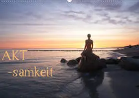 Nudio | AKT-samkeit (Wandkalender 2020 DIN A2 quer) | Sonstiges | 978-3-671-08550-7 | www.sack.de