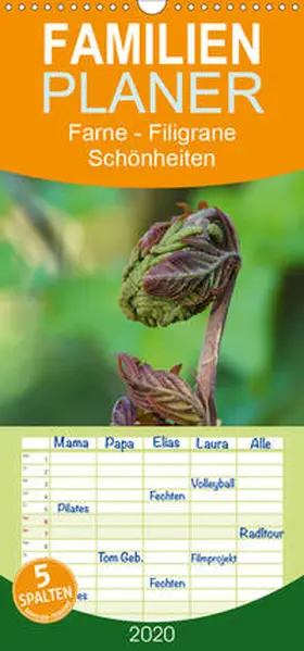 Becker |  Farne - Filigrane Schönheiten - Familienplaner hoch (Wandkalender 2020 , 21 cm x 45 cm, hoch) | Sonstiges |  Sack Fachmedien