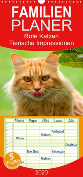 Lehmann (Hrsg.) |  Rote Katzen 2020. Tierische Impressionen - Familienplaner hoch (Wandkalender 2020 , 21 cm x 45 cm, hoch) | Sonstiges |  Sack Fachmedien