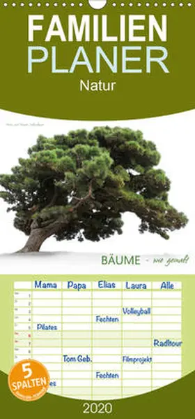Schmidbauer |  BÄUME - wie gemalt - Familienplaner hoch (Wandkalender 2020 , 21 cm x 45 cm, hoch) | Sonstiges |  Sack Fachmedien