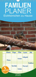 Peitz |  Eichhörnchen zu Hause - Familienplaner hoch (Wandkalender 2020 , 21 cm x 45 cm, hoch) | Sonstiges |  Sack Fachmedien