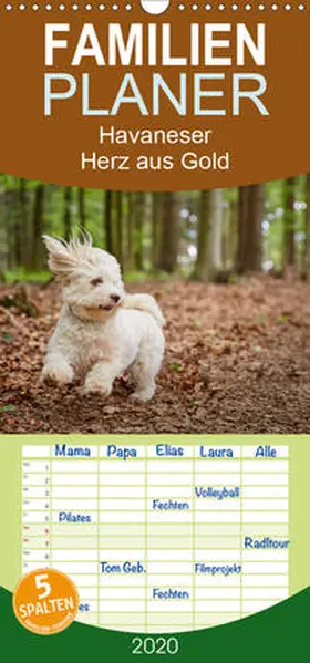 Mayer |  Havaneser - Herz aus Gold - Familienplaner hoch (Wandkalender 2020 , 21 cm x 45 cm, hoch) | Sonstiges |  Sack Fachmedien