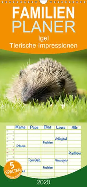 Lehmann (Hrsg.) |  Igel - Tierische Impressionen - Familienplaner hoch (Wandkalender 2020 , 21 cm x 45 cm, hoch) | Sonstiges |  Sack Fachmedien