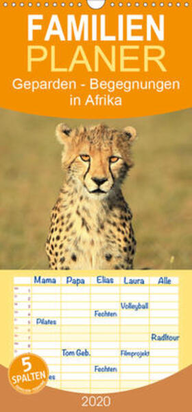 Herzog | Geparden - Begegnungen in Afrika - Familienplaner hoch (Wandkalender 2020 , 21 cm x 45 cm, hoch) | Sonstiges | 978-3-671-10212-9 | sack.de