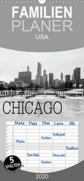 Stein |  Icy Chicago - Familienplaner hoch (Wandkalender 2020 , 21 cm x 45 cm, hoch) | Sonstiges |  Sack Fachmedien