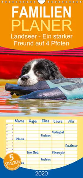 Starick |  Landseer - Ein starker Freund auf 4 Pfoten - Familienplaner hoch (Wandkalender 2020 , 21 cm x 45 cm, hoch) | Sonstiges |  Sack Fachmedien