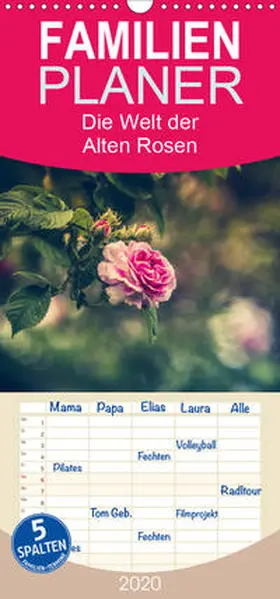 Steudte |  Die Welt der Alten Rosen - Familienplaner hoch (Wandkalender 2020 , 21 cm x 45 cm, hoch) | Sonstiges |  Sack Fachmedien