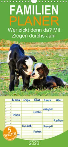 Löwer |  Wer zickt denn da? Mit Ziegen durchs Jahr - Familienplaner hoch (Wandkalender 2020 , 21 cm x 45 cm, hoch) | Sonstiges |  Sack Fachmedien