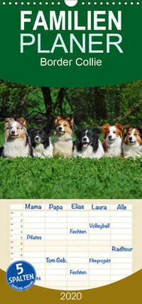 Starick |  Border Collie 2020 - Familienplaner hoch (Wandkalender 2020 , 21 cm x 45 cm, hoch) | Sonstiges |  Sack Fachmedien