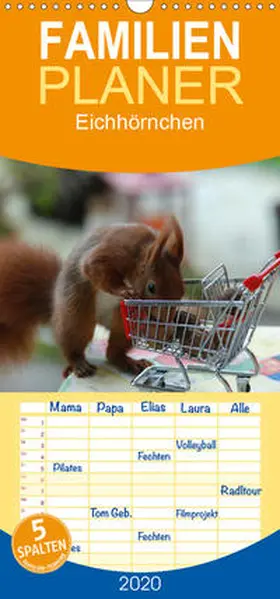 Adam |  Spaß mit Eichhörnchen! - Familienplaner hoch (Wandkalender 2020 , 21 cm x 45 cm, hoch) | Sonstiges |  Sack Fachmedien