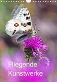 Blum |  Schmetterlinge, schöne Flieger der Natur (Wandkalender 2020 DIN A4 hoch) | Sonstiges |  Sack Fachmedien