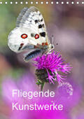 Blum |  Schmetterlinge, schöne Flieger der Natur (Tischkalender 2020 DIN A5 hoch) | Sonstiges |  Sack Fachmedien