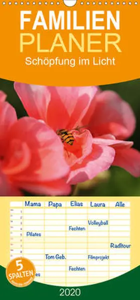 Hildebrand | Schöpfung im Licht - Familienplaner hoch (Wandkalender 2020 , 21 cm x 45 cm, hoch) | Sonstiges | 978-3-671-11455-9 | sack.de