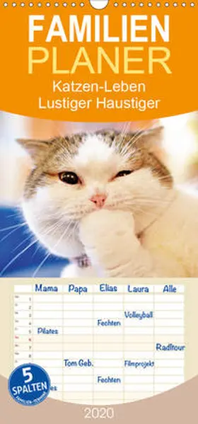 Calvendo / CALVENDO |  Katzen-Leben: Lustiger Haustiger - Familienplaner hoch (Wandkalender 2020 , 21 cm x 45 cm, hoch) | Sonstiges |  Sack Fachmedien