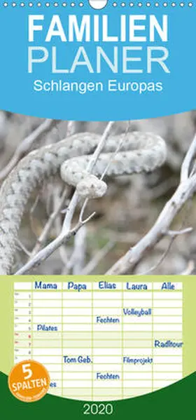 Wilms |  Schlangen Europas - Familienplaner hoch (Wandkalender 2020 , 21 cm x 45 cm, hoch) | Sonstiges |  Sack Fachmedien