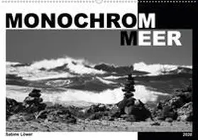 Löwer |  Monochrom Meer (Wandkalender 2020 DIN A2 quer) | Sonstiges |  Sack Fachmedien