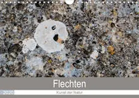 Dietz |  Flechten - Kunst der Natur (Wandkalender 2020 DIN A4 quer) | Sonstiges |  Sack Fachmedien