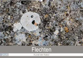 Dietz |  Flechten - Kunst der Natur (Wandkalender 2020 DIN A2 quer) | Sonstiges |  Sack Fachmedien