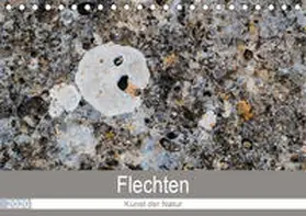 Dietz |  Flechten - Kunst der Natur (Tischkalender 2020 DIN A5 quer) | Sonstiges |  Sack Fachmedien