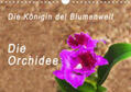 Rosenthal |  Die Königin der Blumenwelt, die Orchidee (Wandkalender 2020 DIN A4 quer) | Sonstiges |  Sack Fachmedien