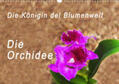 Rosenthal |  Die Königin der Blumenwelt, die Orchidee (Wandkalender 2020 DIN A3 quer) | Sonstiges |  Sack Fachmedien