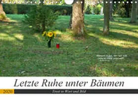 Marten |  Letzte Ruhe unter Bäumen, Trost in Wort und Bild (Wandkalender 2020 DIN A4 quer) | Sonstiges |  Sack Fachmedien