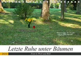 Marten |  Letzte Ruhe unter Bäumen, Trost in Wort und Bild (Tischkalender 2020 DIN A5 quer) | Sonstiges |  Sack Fachmedien