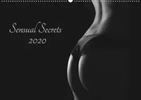 Pixelpunker. de / pixelpunker.de |  Sensual Secrets (Wandkalender 2020 DIN A2 quer) | Sonstiges |  Sack Fachmedien
