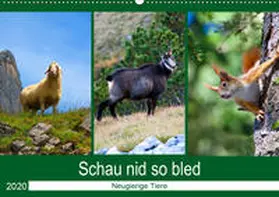Kramer | Schau nid so bled (Wandkalender 2020 DIN A2 quer) | Sonstiges | 978-3-671-14261-3 | www.sack.de