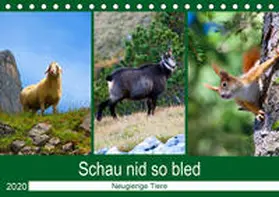 Kramer | Schau nid so bled (Tischkalender 2020 DIN A5 quer) | Sonstiges | 978-3-671-14262-0 | www.sack.de