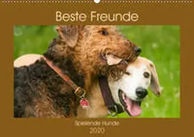 Bölts |  Beste Freunde - Spielende Hunde (Wandkalender 2020 DIN A2 quer) | Sonstiges |  Sack Fachmedien