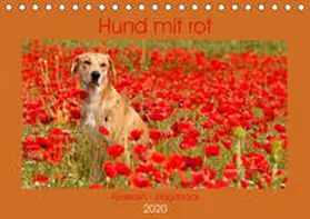 Bölts |  Hund mit rot - Azawakh - Ridgeback (Tischkalender 2020 DIN A5 quer) | Sonstiges |  Sack Fachmedien