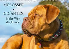 Starick |  Molosser - Giganten in der Welt der Hunde (Wandkalender 2020 DIN A3 quer) | Sonstiges |  Sack Fachmedien