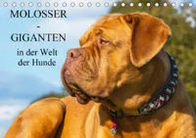 Starick |  Molosser - Giganten in der Welt der Hunde (Tischkalender 2020 DIN A5 quer) | Sonstiges |  Sack Fachmedien