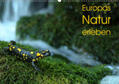 Schäfer |  Europas Natur erleben (Wandkalender 2020 DIN A2 quer) | Sonstiges |  Sack Fachmedien